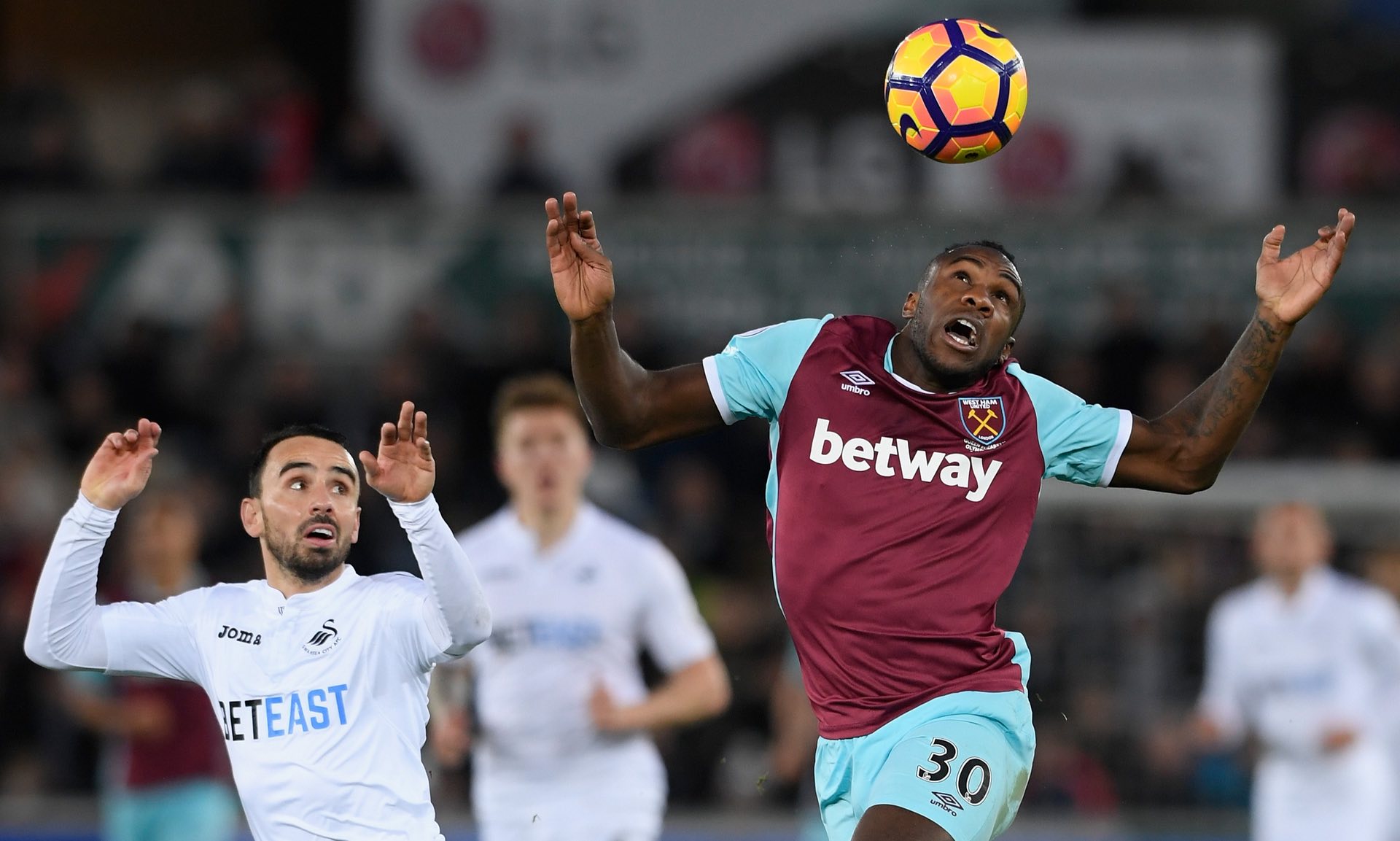 地位提供了 地位提供了